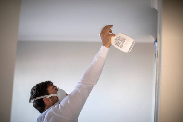 Best Water Damage Restoration  in Cedar Bluff, AL