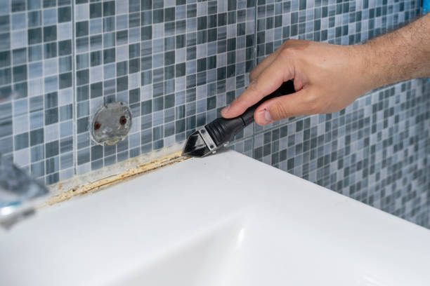 Best Same-Day Mold Removal  in Cedar Bluff, AL