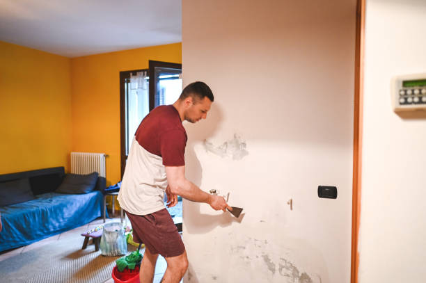Cedar Bluff, AL Mold Removal Company
