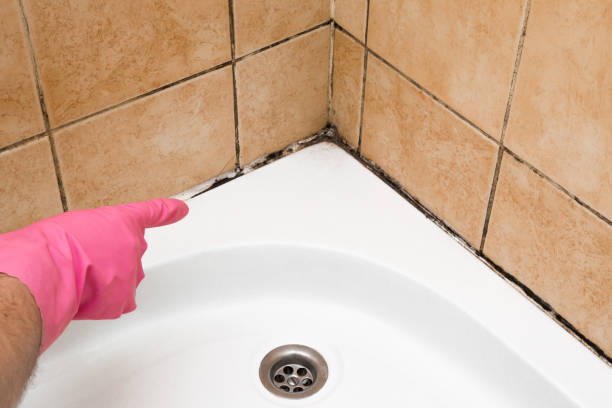 Best Residential Mold Removal  in Cedar Bluff, AL